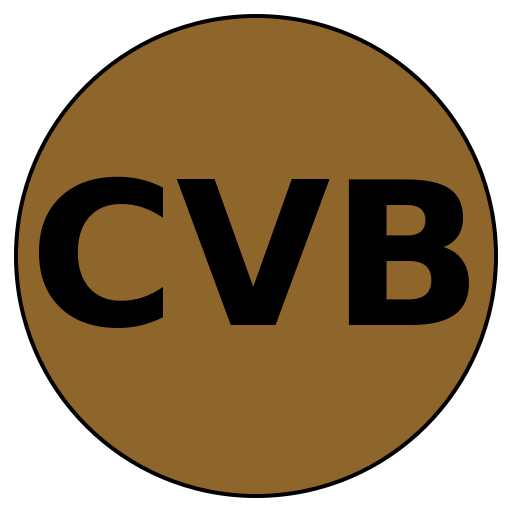 CareerValue Boosters
